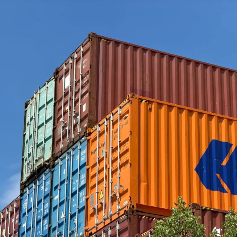 Trámites de Importación
